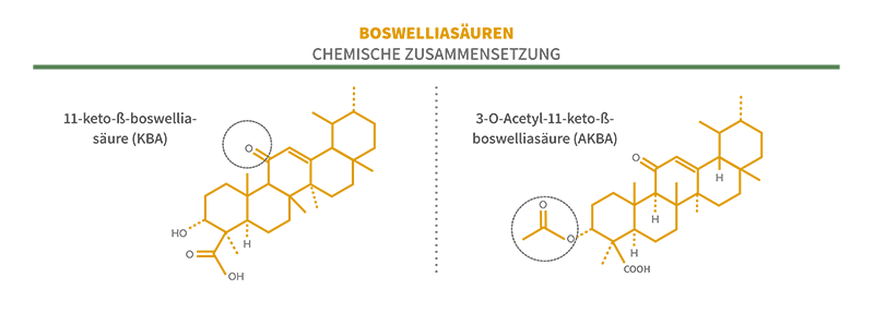 Chemische Formeln der Boswelliasäuren KBA und AKBA