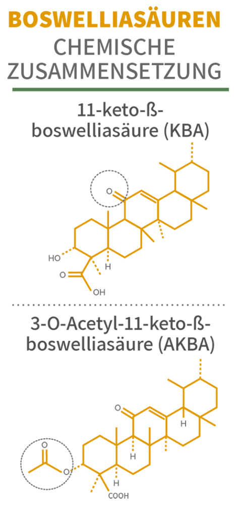 Chemische Formeln von Boswelliasäuren 